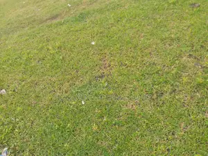 Residential Land 1150sqm for Sale in Kaura District. Abuja