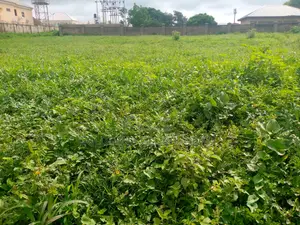 1150sqm. Residential Land for Sale in Kaura District. Abuja - Nigeria