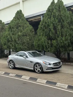 Mercedes-Benz SLK-Class 2014 Silver