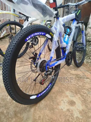 Wendy Mountain Bicycle in Blue
