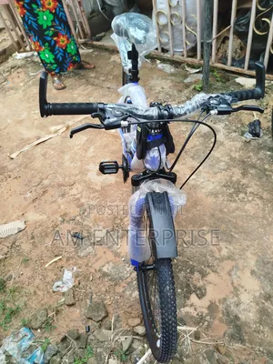 Wendy Mountain Bicycle in Blue
