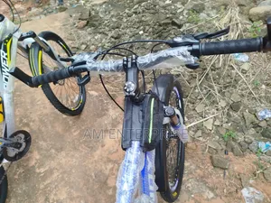 Wendy Mountain Bicycle in Blue