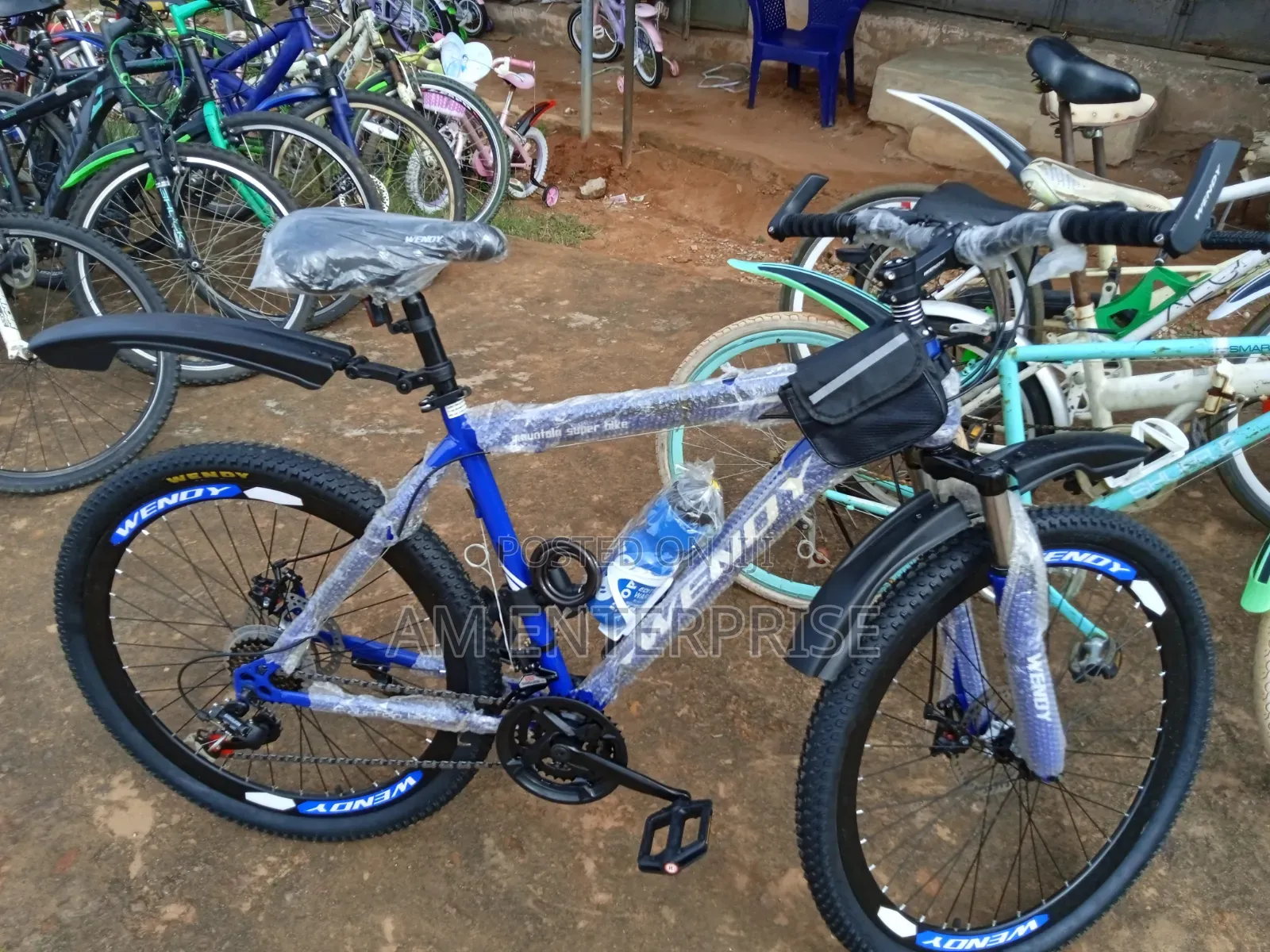 Wendy Mountain Bicycle in Blue