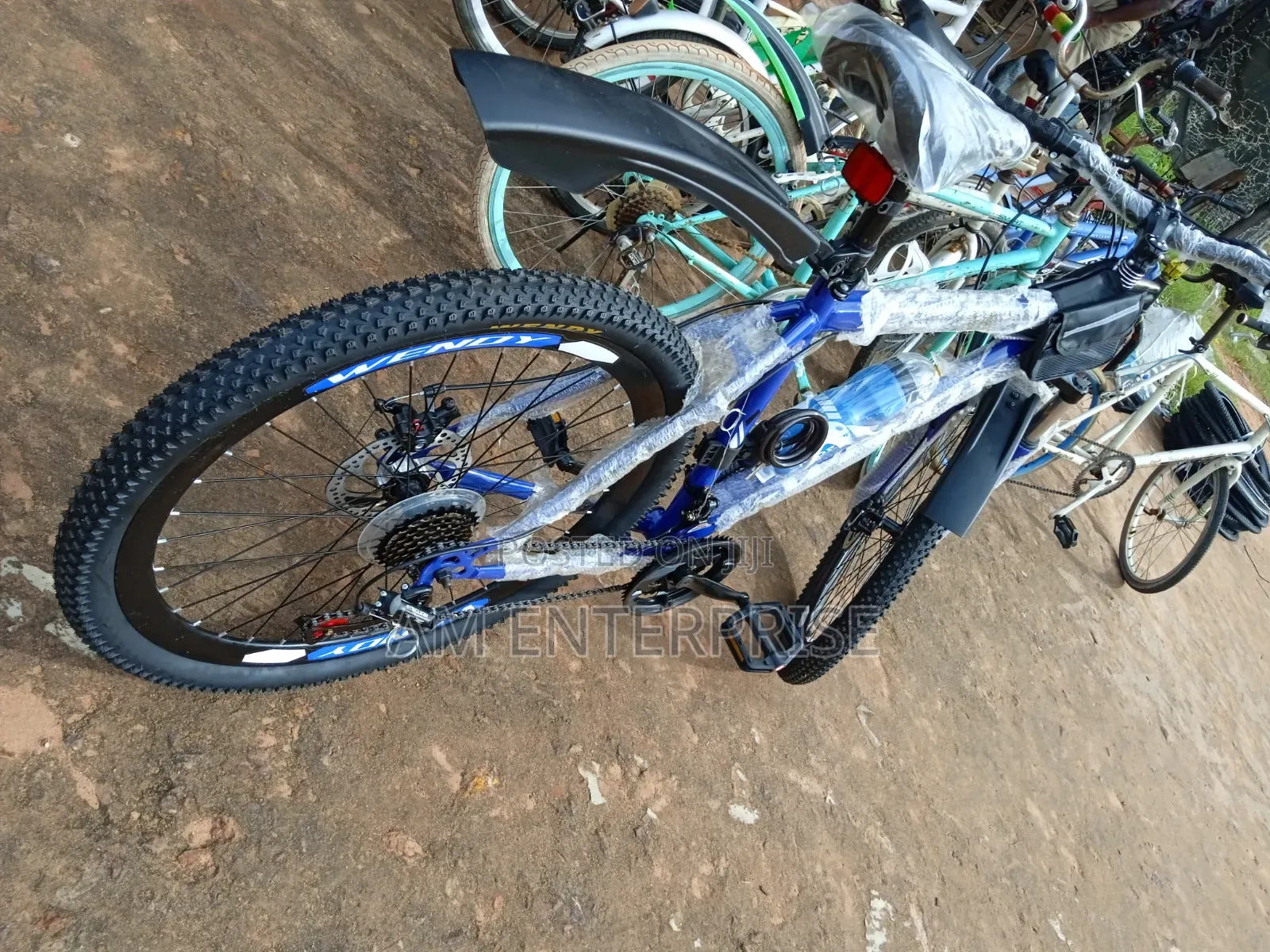 Wendy Mountain Bicycle in Blue