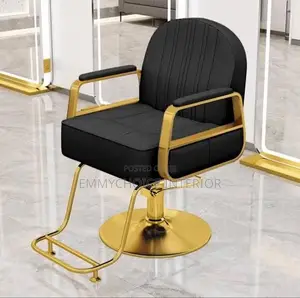Modern Styling Salon Chair /Unisex Black Gold