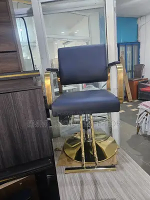 Modern Styling Salon Chair /Unisex Black Gold