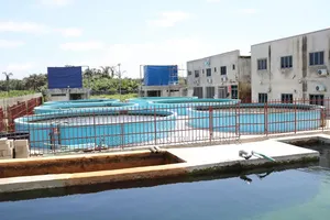 A Mixed Farm of Fishing,Piggery and Pure Water Factory on 4,996.525 Sq