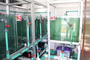 A Mixed Farm of Fishing,Piggery and Pure Water Factory on 4,996.525 Sq
