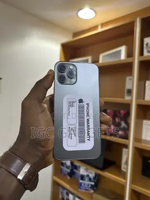 Apple iPhone 12 Pro Max 128 GB Gray