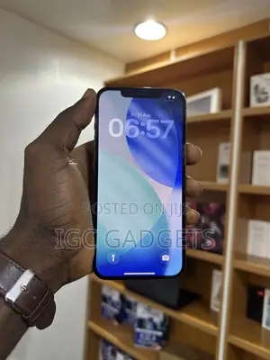 Apple iPhone 12 Pro Max 128 GB Gray