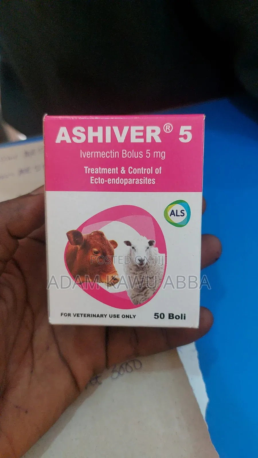 Ashiver Bolus