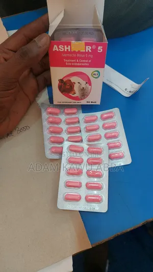 Ashiver Bolus