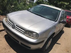 Volkswagen Golf 2004 Silver