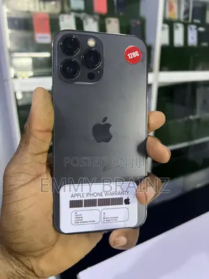 Apple iPhone 13 Pro Max 128 GB Gray