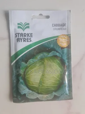 Cabbage Seeds
