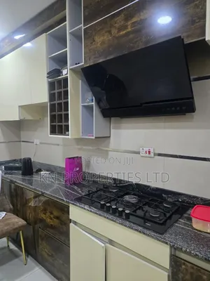 Furnished 4bdrm Duplex in Maitama for rent
