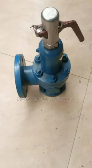 1"Inch X 2"Inch Safety Relief Flanged Valve