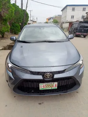 Toyota Corolla LE 2020 Gray
