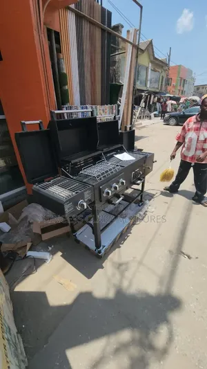 High Quality Coal and Gas BBQ