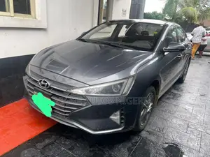 Hyundai Elantra ECO 2019 Gray