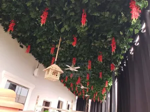 Green Creeping Plants Vines Flowers Decorations