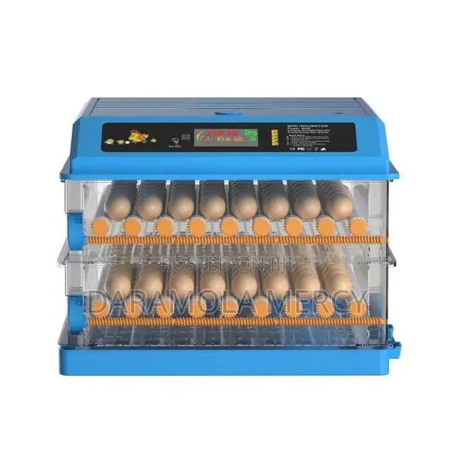 Egg Incubator