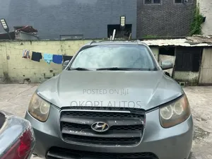 Hyundai Santa Fe 2009 Gray