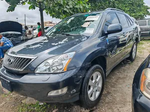 Lexus RX 2009 Gray