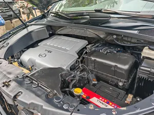 Lexus RX 2009 Gray