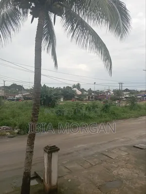 3000sqm Land at 2 Lanes, Uyo for Sale