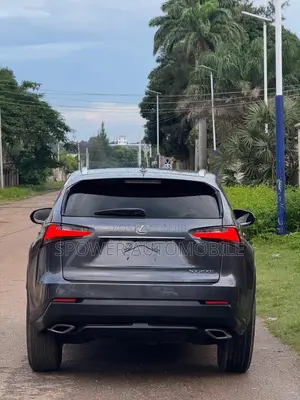 Lexus NX 2017 Silver