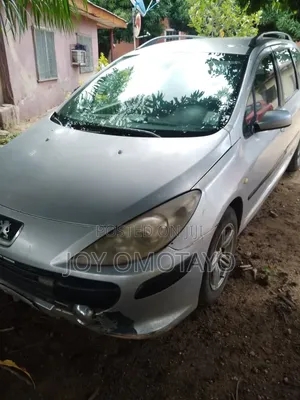 Peugeot 307 2006 Silver