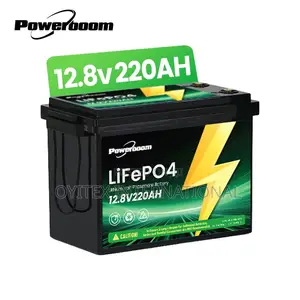 WHC LiFePO4 Lithium Battery - 12.8v 220AH