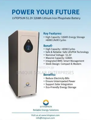 LVTOPSUN Lithium Batteries