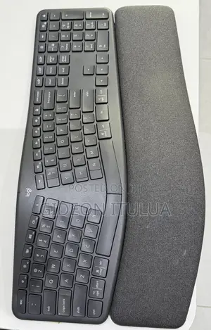 Logitech Ergo 