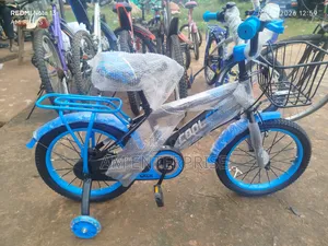Coolest Kids Bicycle Blue