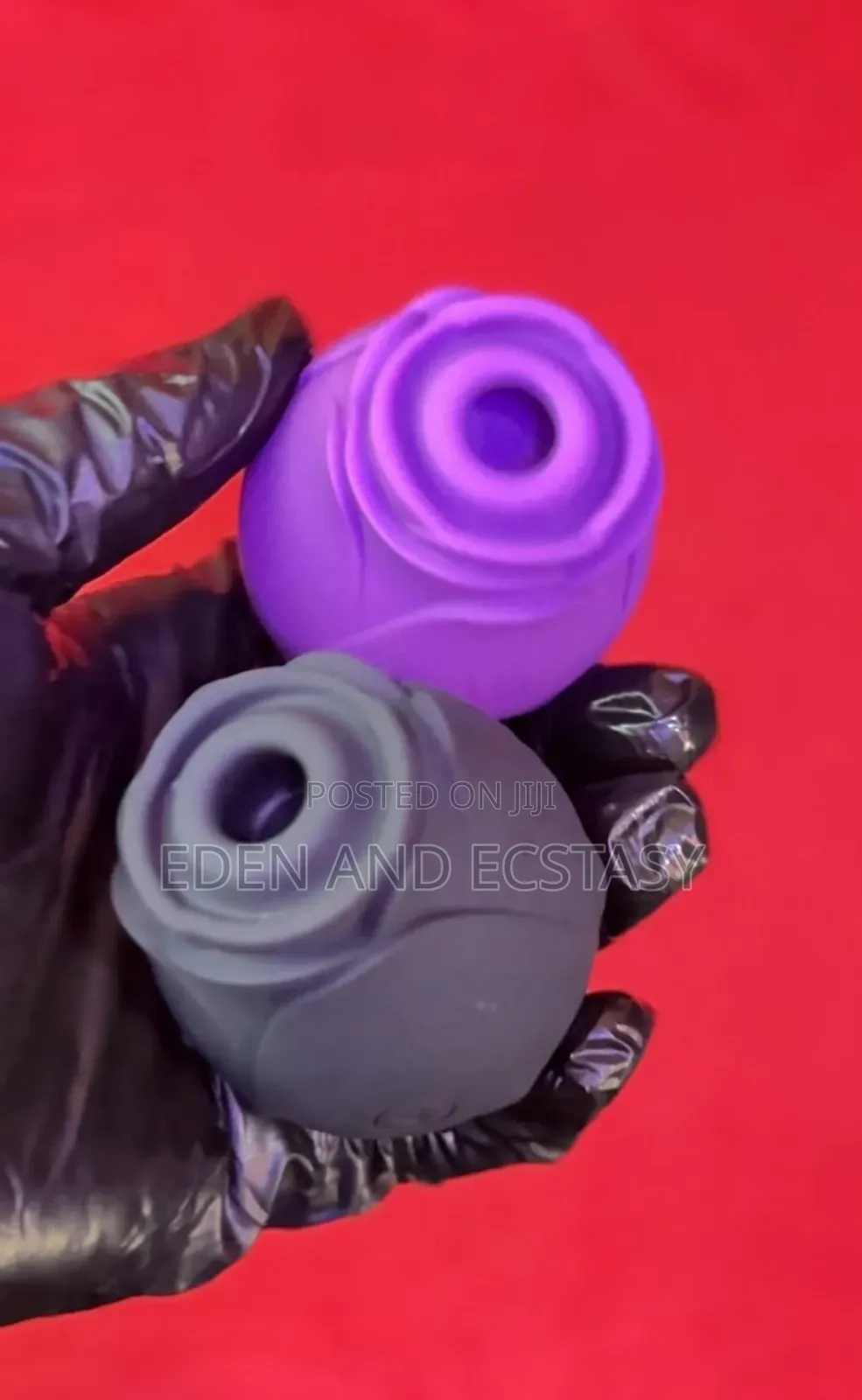 Rose Sucker