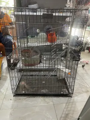Double Cat Cage