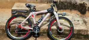 Onieda Mountain Bike