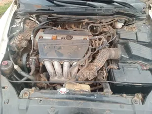 Honda Accord 2004 White