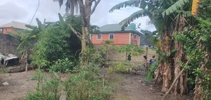 2 Plots of Land for Sale at Igboneri Okokomiko Ojo