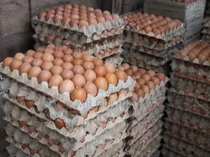 Crates of Eggs