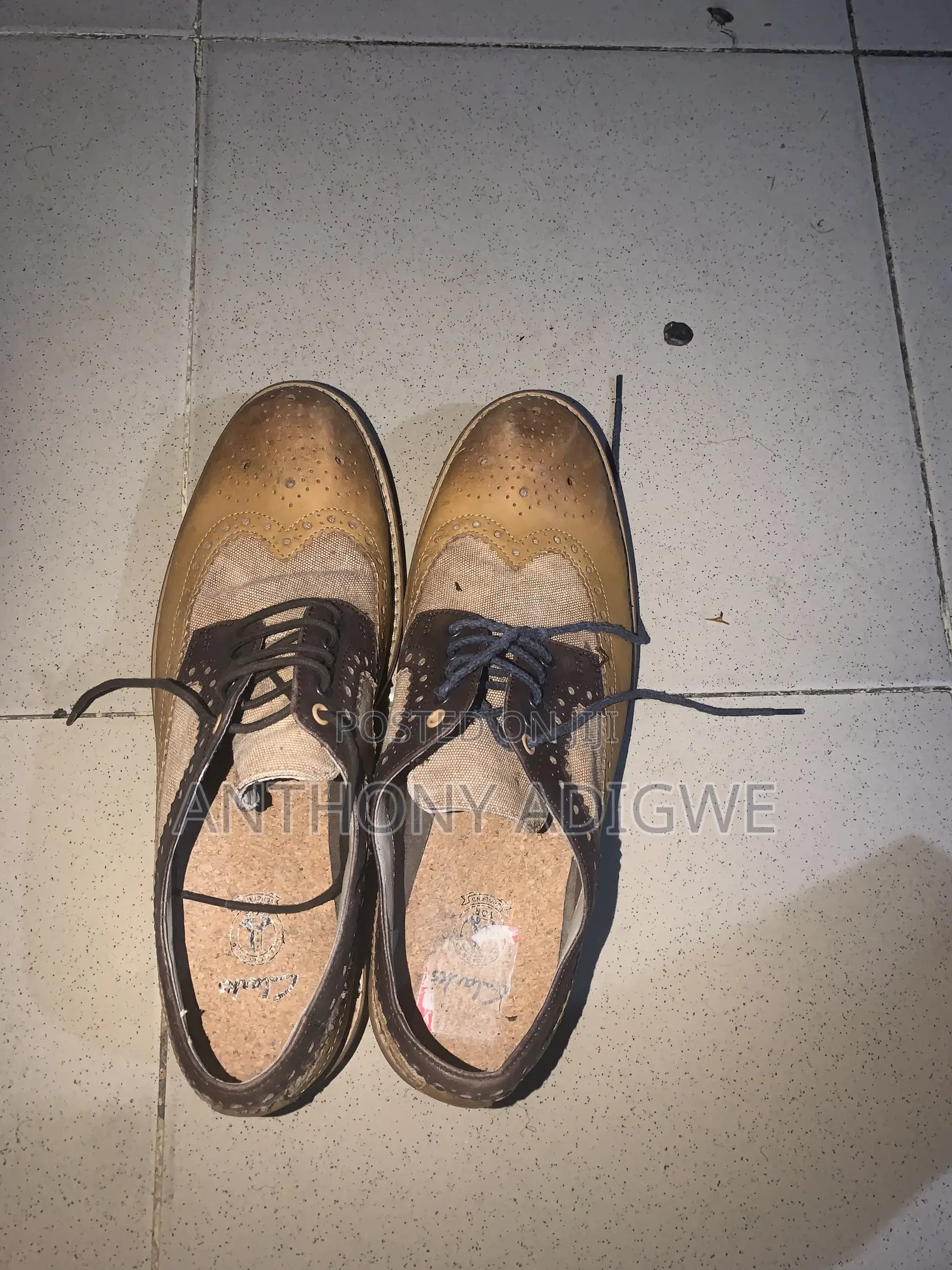 Brown Office Shoe