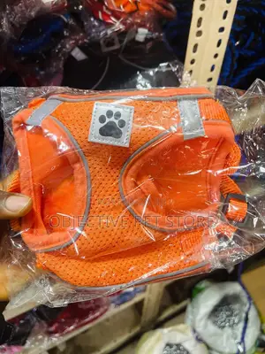 Dog and Cat Harness and Leash