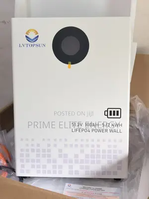 Lvtopsun 5kwh LiFePO4 Battery 51.2v