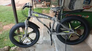 Onieda Fat Tyre