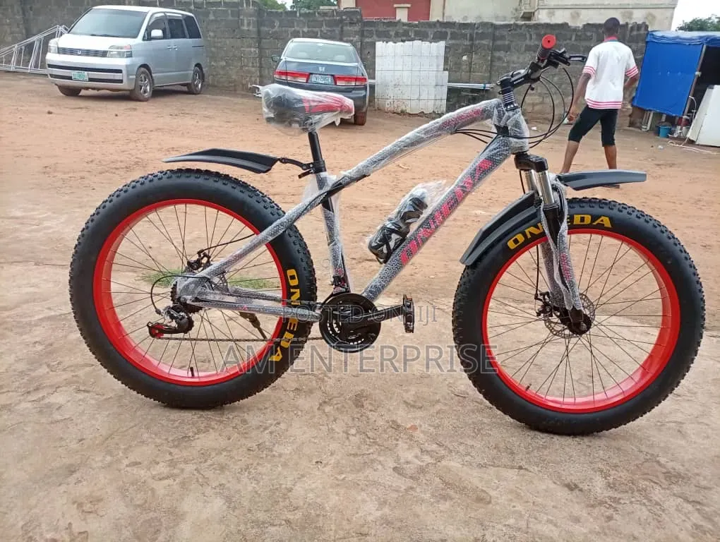Onieda Fat Tyre