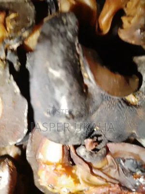 Dried Snails for Consumption