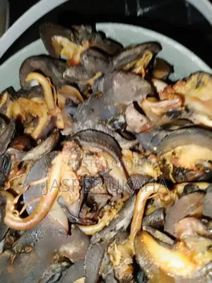 Dried Snails for Consumption