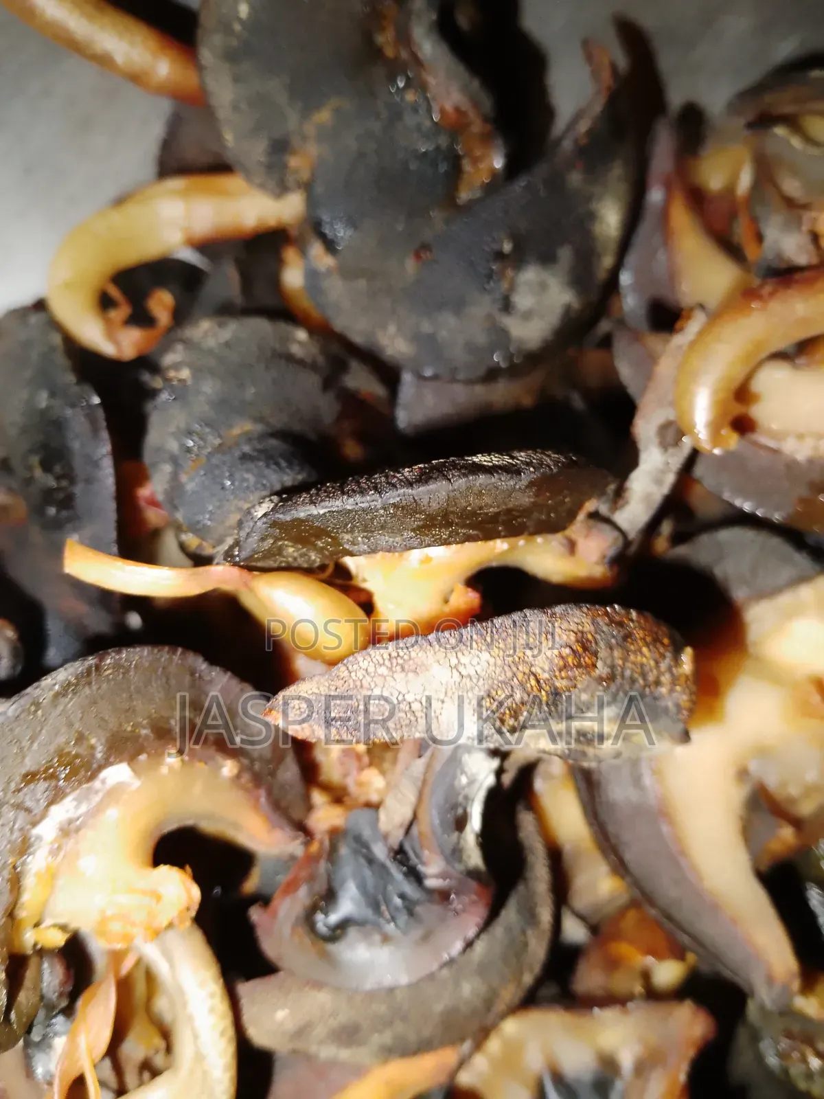 Dried Snails for Consumption